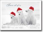 Click image to select your postcard